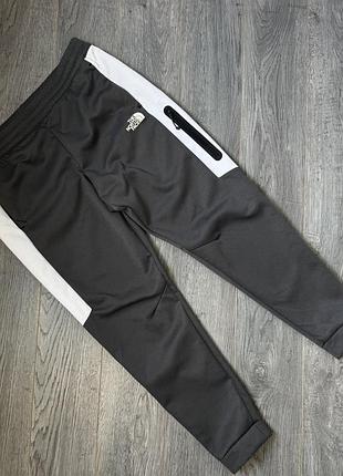 Спортивные штаны the north face