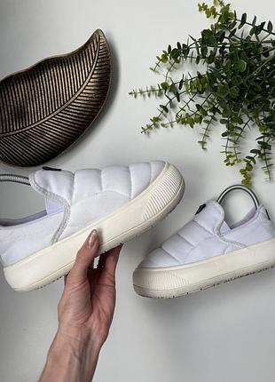 Сліпони puma