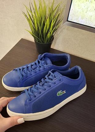Кеди lacoste 39-40 р