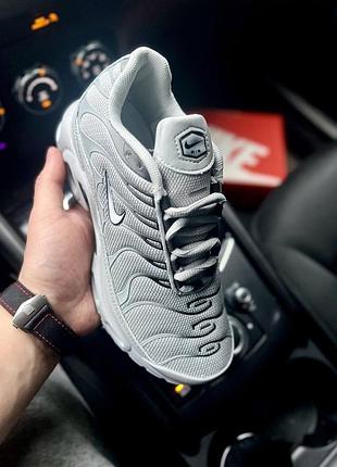 Кросівки жіночі nike air max tn plus gray
