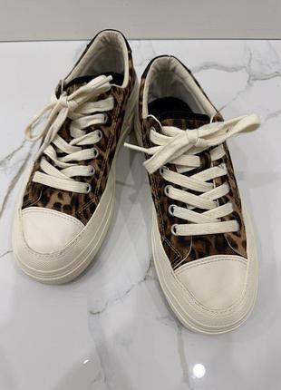 Леопардові кеди zara