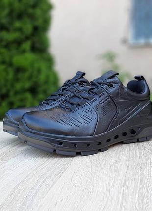 Ecco biom черные 2