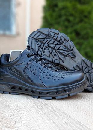 Ecco biom черные 5