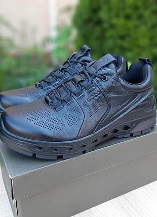 Ecco biom черные 7