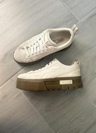 Puma mayze