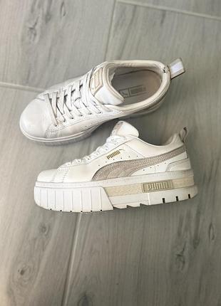 Puma mayze