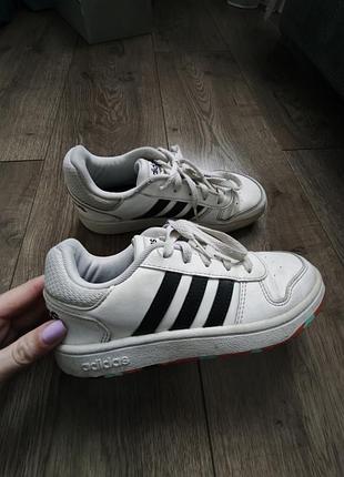Кеди adidas 7