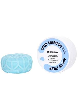 Твердый шампунь mr.scrubber arctic fresh прочность и экстрасвежесть 100 г
