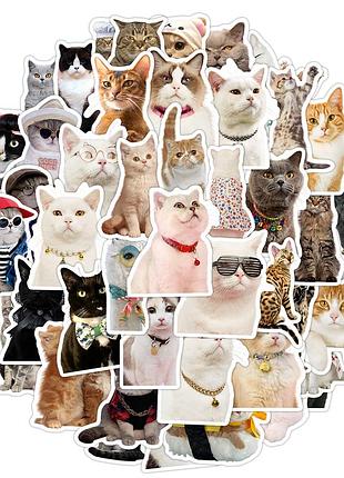 Набор виниловых наклеек, набор стикеров с котами🐾 50 шт