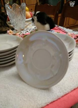 Тарілочки.