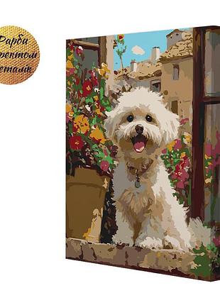 Картина за номерами riviera blanca хмаринка 40x50 см (rb-1324)