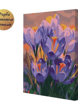 Картина за номерами riviera blanca сонячні крокуси 40x50 см (rb-1329)
