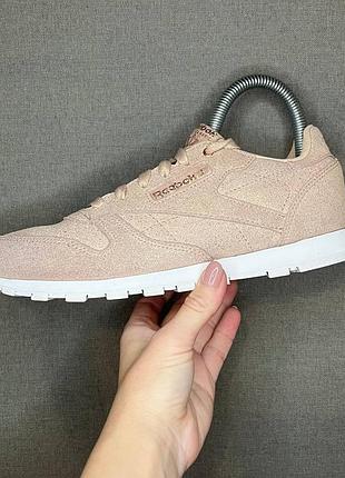 Кросівки reebok 36,5 р