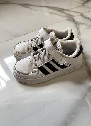 Кросівки adidas