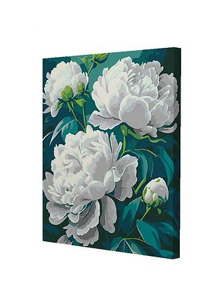 Картина за номерами riviera blanca промениста краса 40x50 см (rb-1338)