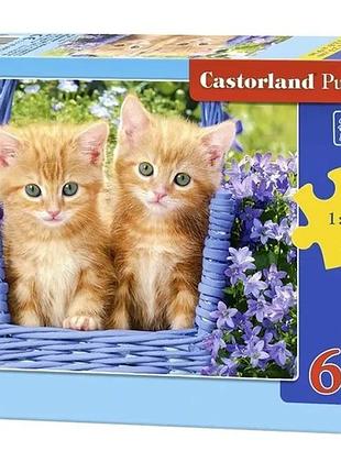 Пазлы castorland, 60 шт, 066247, рыжие котята