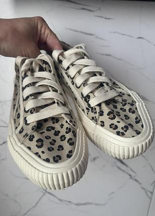 Кеды леопард zara 2