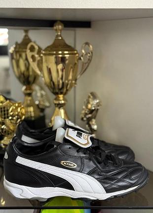 Сороконіжки puma king