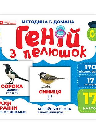 Набір розвиваючих карток геній з пелюшок "птахи україни" ранок 10107193у, 17 карток