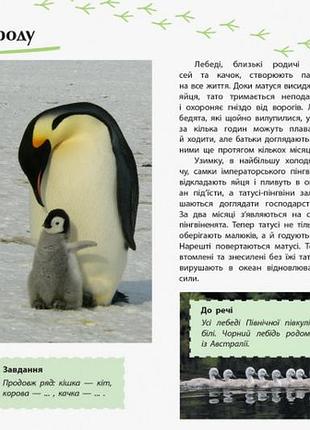 Животные 2