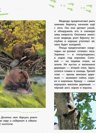 Животные 3