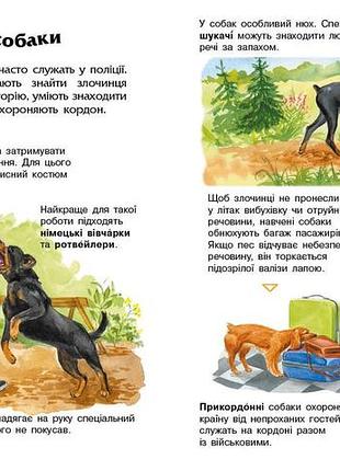 Собаки 4