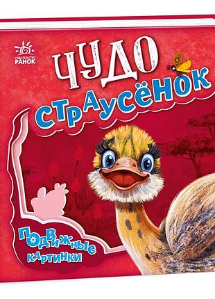 Чудо-страусёнок
