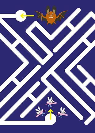 Ежик 5