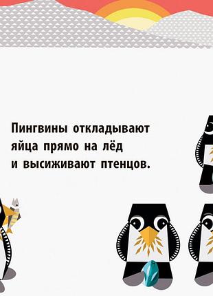 Полярные друзья 5