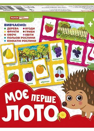 Мое первое лото_ изучаем растения