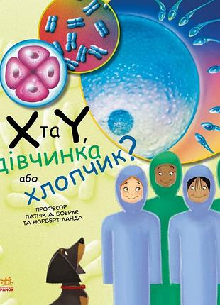 X и y, девочка или мальчик?