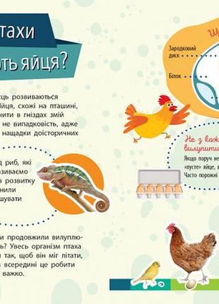 Животные 4