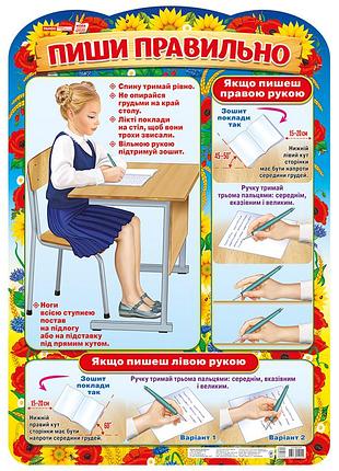 Плакат.пиши правильно
