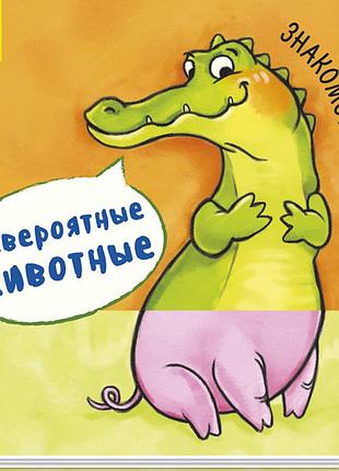 Знакомство