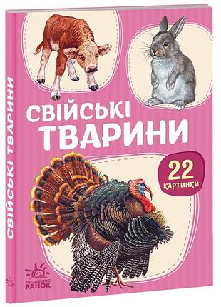 Свійські тварини