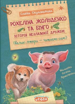 Книга рохелина жёлуденко и бинго - елена скуловатовая