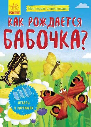 Как рождается бабочка?
