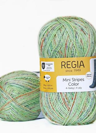 Regia color 100 г, 00519