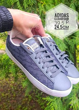 Кеди adidas cloudfoam daily qt clean (артикул cg5754).
39.5р (24.5см)