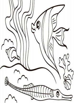Море 5