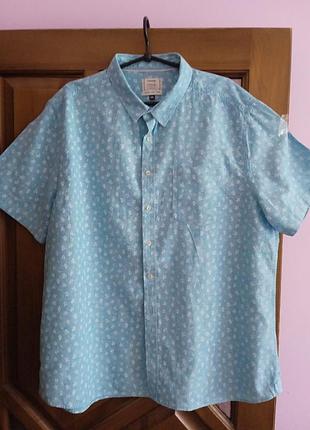 George, льон, xxl, xxxl.