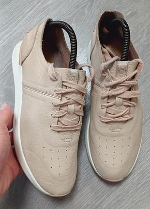 Жіночі кросівки ugg