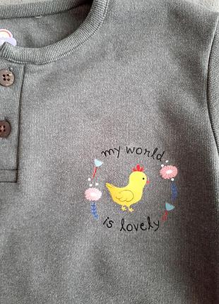 Реглан🐤🐤🐤 2