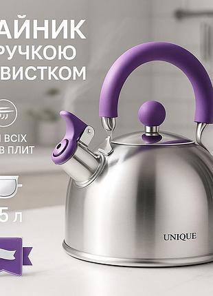 Чайник для газових плит, кухонний чайник зі свистком на плиту сталевий зі свистком на плиту ei-37