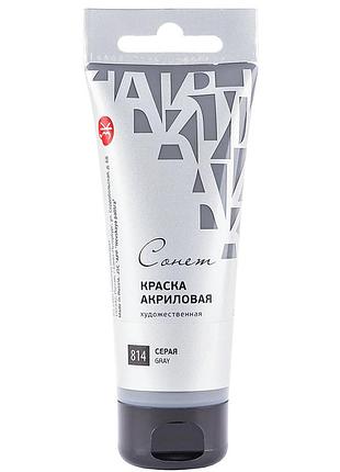 Фарба акриловапрофесійна сіра, 120мл 352741, шт