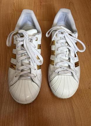 Кросівки adidas superstar