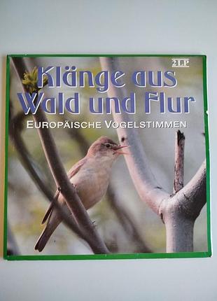 Пластинка голоса европейских птиц 2lp винил - кlänge aus wald und flur (1987, fidelio)