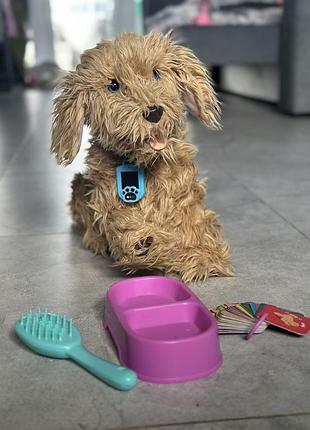 My fuzzy friends лабрадудель moji