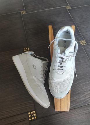Lacoste  кросовки