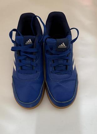 Продам кросівки adidas оригінал , колір синій